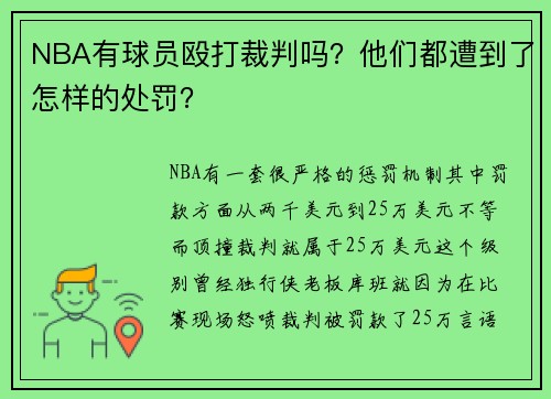 NBA有球员殴打裁判吗?他们都遭到了怎样的处罚?